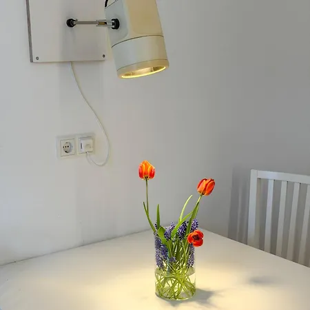 Design-altbau Mit Garten Im Herzen Von *